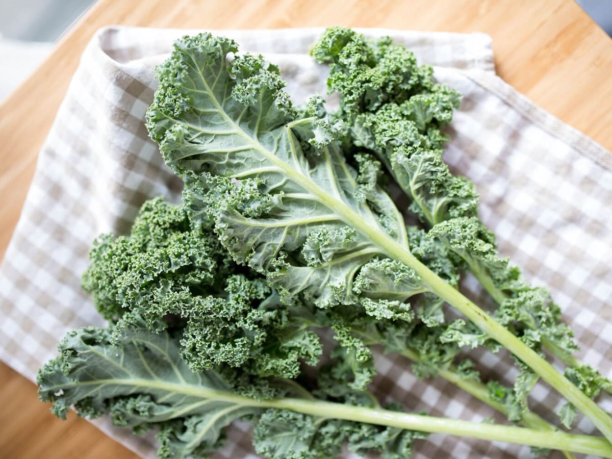 Healthy Kale Recipes Fresh kale on a wooden table